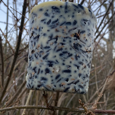 Vogelfutter Vogelfutter